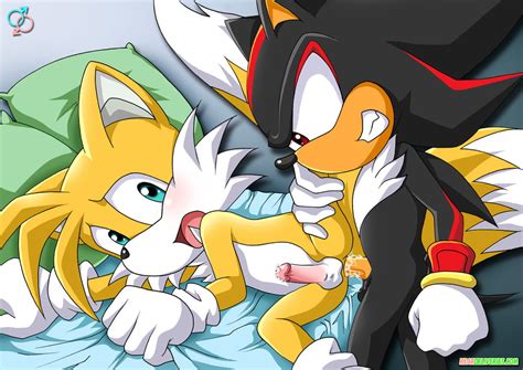 Sonic My Favorite Hentai Pics Collection Furry Gallery 229 Pics 3
