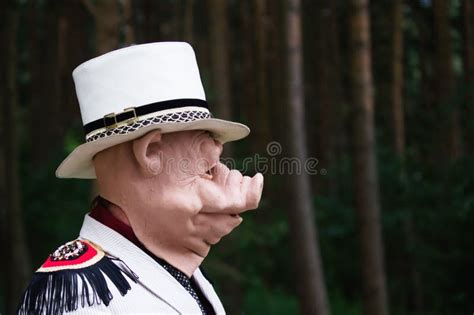 Portrait Of A Man With A Mask Of A Pig Stock Image Image Of Design