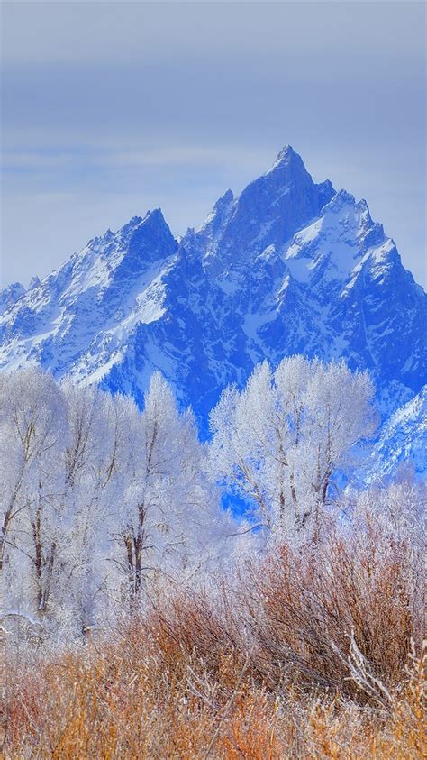 Wallpaper Grand Teton National Park Mountains Trees Snow Winter