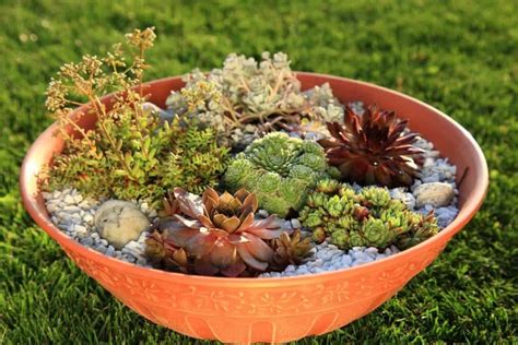 11 Beautiful Rock Garden Ideas