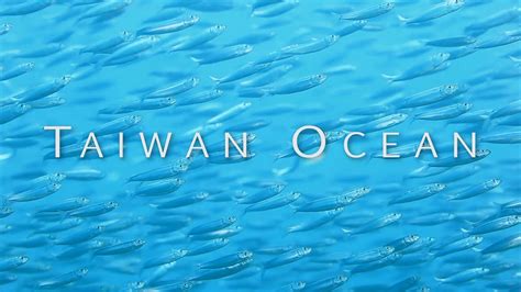 2013 台灣之海潛水紀錄片 1 東北角首部曲 Taiwan Ocean Dive Documentary Northeast Coast