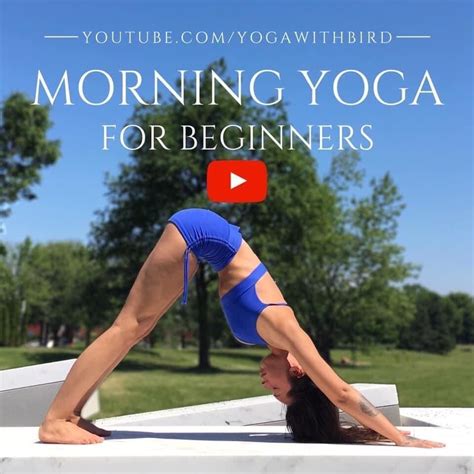Best Morning Yoga Poses Morning Yoga Morning Yoga Poses Yoga For