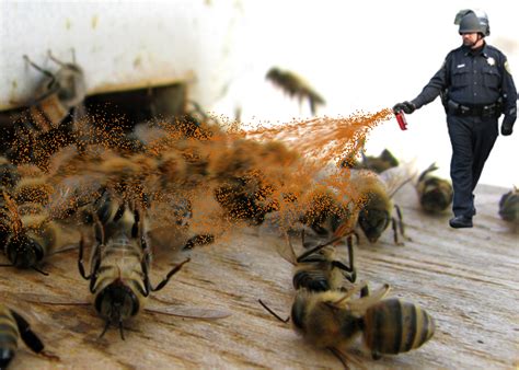 It is a good idea to spray the pesticide on the openings of your attic. How to Get Rid Of Bees In Your House