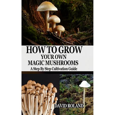 How To Grow Your Own Magic Mushrooms A Step By Step Cultivation Guide