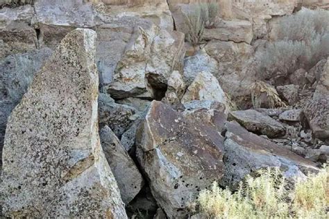 Viral Optical Illusion Can You Spot The Rabbit Hiding Between Rocks In
