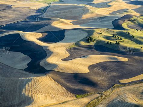 Aerial Photography At Harvest Time In The Palouse Region Of Eastern