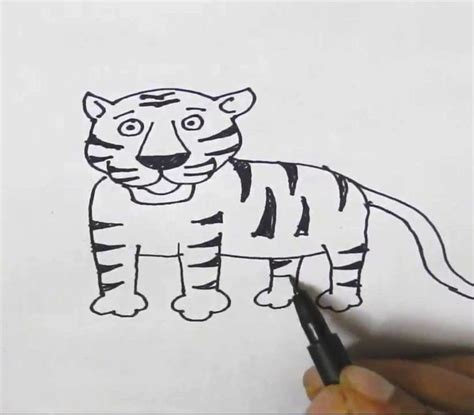 How To Draw A Tiger In Easy Steps For Children Kids