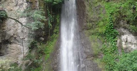 Santa Cruz Hidden Waterfalls And Secret Paradise Hike Getyourguide