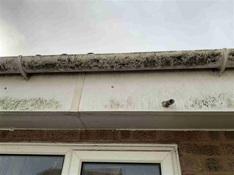 Fascia And Soffit Cleaning Services Get Your Free Quote Now