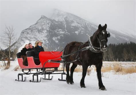 Sleigh And Carriage Rides Romantic Horse Drawn Sleigh Ride In The