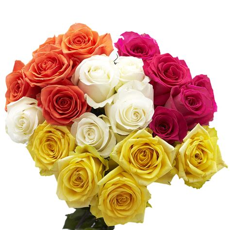 To put your mind at rest, the ghi team has tried and tested a range of floral brands to find the best for all needs and budgets. GlobalRose 50 Assorted Roses- 2 Beautiful Colors- Next Day ...