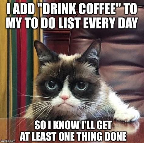 Coffee Gets Things Done Grumpy Cat Funny Cats Funny Jokes Hilarious