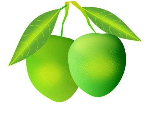 Download High Quality Tree Clipart Mango Transparent Png Images Art