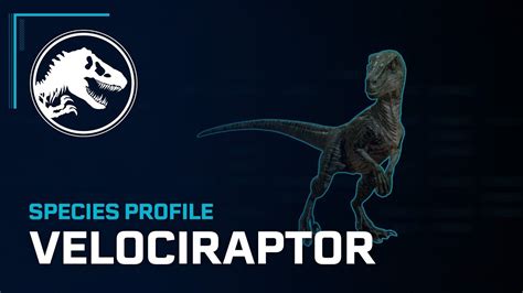 Species Profile Velociraptor Youtube