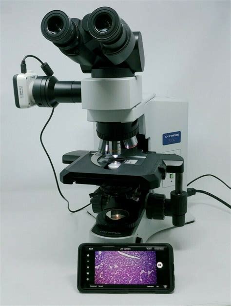 Olympus Microscope Bx41 With 2x And Camera Nc Sc Va Md