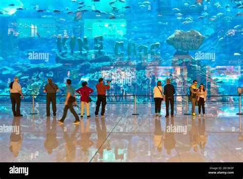 The Dubai Mall Aquarium And Underwater Zoo Dubai United Arab Emirates