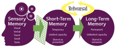 Memory Learning And Improving Concentration