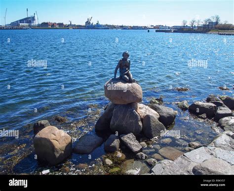 Copenhagen Denmark April 11 2016 Bronze Statue Of The Little Mermaid