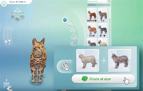 Trailer Oficial De Los Sims 4 Perros Y Gatos Simsguru