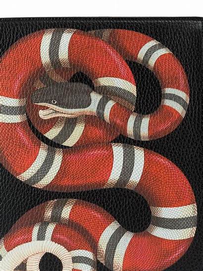 Gucci Snake Wallpapers Clutch Iphone Backgrounds Pounch
