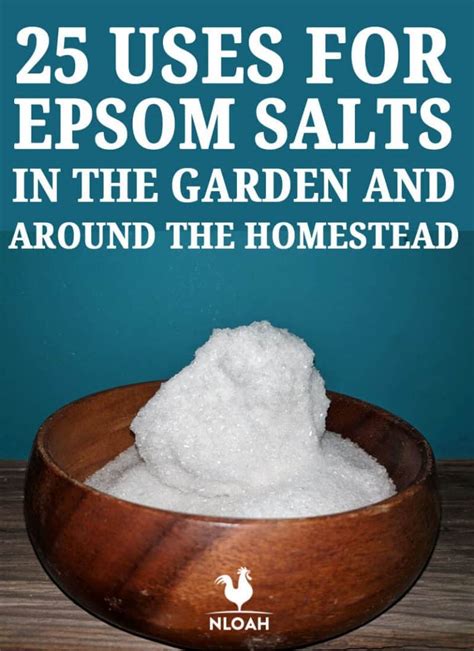 19 Uses For Epsom Salts In The Garden And On The Homestead • New Life