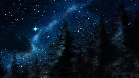 Starry Winter Night Hd Wallpaper Background Image 1920x1080 Id