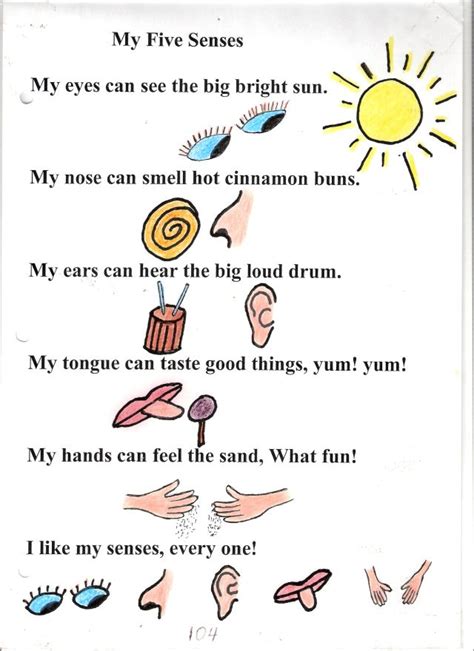 Poem No 4 My Five Senses My Five Senses Five Senses Preschool