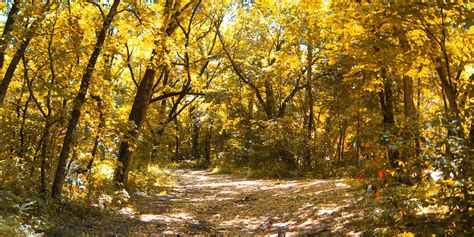 Hike The Yellow Trail At Busiek State Park