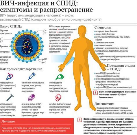 Вирус иммунодефицита человека основные пути передачи ВИЧ инфекции