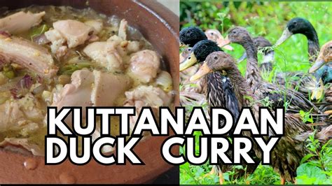 കടടനടൻ തറവ കറ Kuttanadan duck curry YouTube