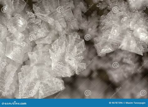 Surface Hoar Frost Crystals Stock Photo Image Of Freshness