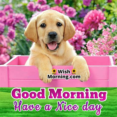 Have A Nice Day Puppy