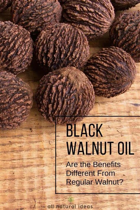 Walnut oil can help condition the hair and add moisture and life to dry and dull hair. Black Walnut Oil: Superfood For The Kitchen & More | All ...
