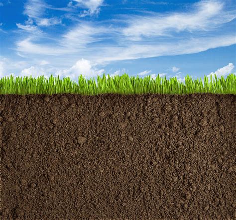 325200 Grass Dirt Stock Photos Pictures And Royalty Free Images Istock