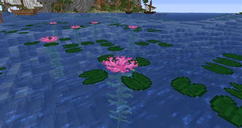 Water Lily Design Rminecraft