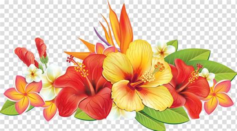 Yellow And Red Flower Illustration Paper Flower Hibiscus Illustration