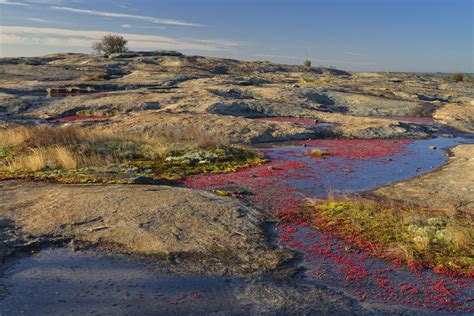The kingdom of saudi arabia is located in asia in the region known as the middle east. Springtime Preview: Blooms at Arabia Mountain - Arabia ...