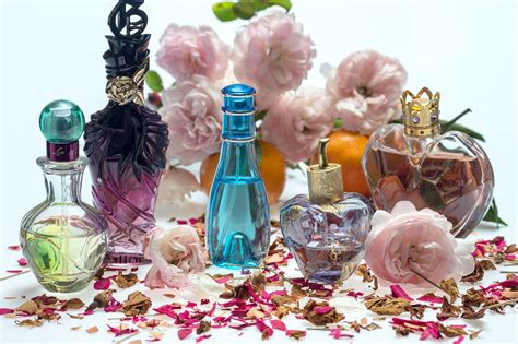 Ranking Top Damend Fte Himmlisch Verf Hrerisch Parfumski