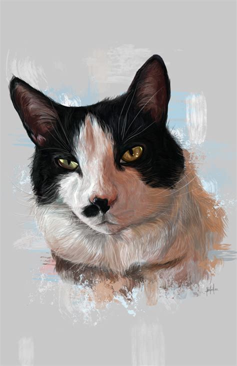 Cats Portraits On Behance