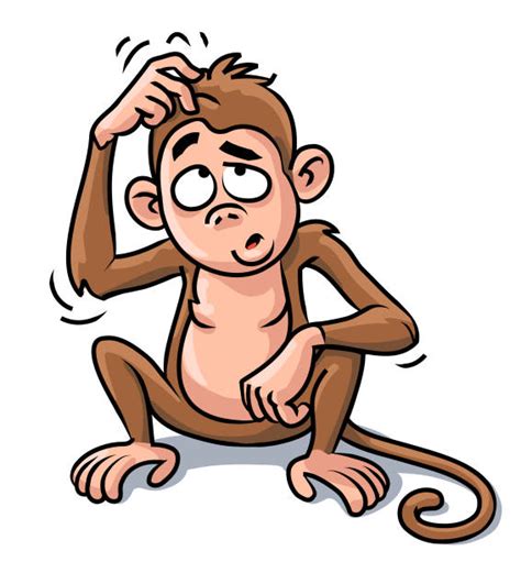 Cartoon Of The Monkey Scratching Illustrations Royalty Free Vector