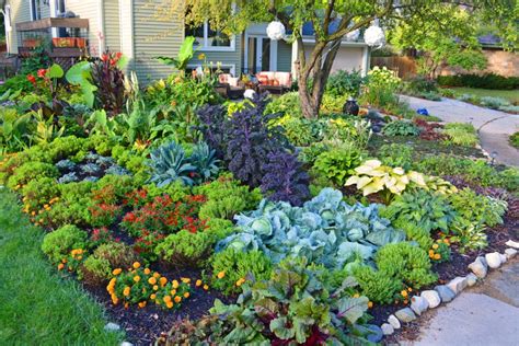 Tunnels are a beautiful way to add vertical height to a veggie garden. Lawn Vegetable Farmers Fight the Law and Win!!! - Off Grid ...