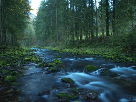 Follow The River 1st Autumn By Burtn On Deviantart