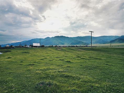 Grass Field · Free Stock Photo