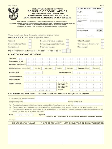 South African Passport Renewal Forms Uk Printable Form 2024