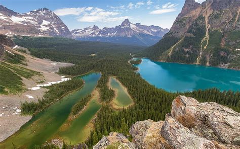 Forest Valley Mountain Landscape Glacial Lakes Canada Yoho