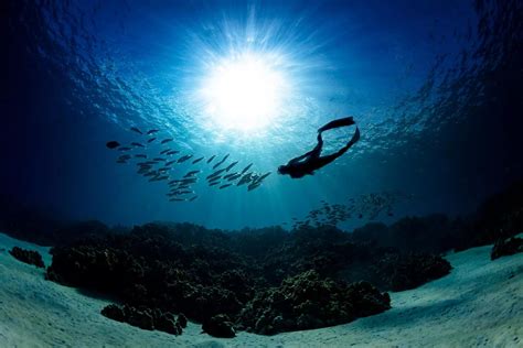 Cool underwater photography - Vuing.com
