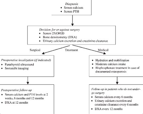 Diagnosis And Management Of Primary Hyperparathyroidism Decisional