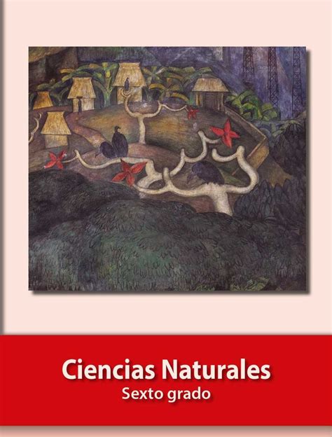 Es una historia que viene incluida en los libros de texto de español lecturas, de primer grado de primaria. Ciencias Naturales Libro de Primaria Grado 6° .: Comisión ...