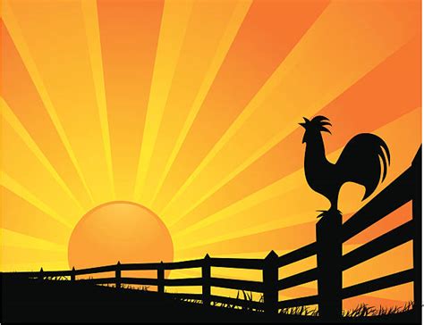 Rooster Sunrise Illustrations Royalty Free Vector Graphics And Clip Art