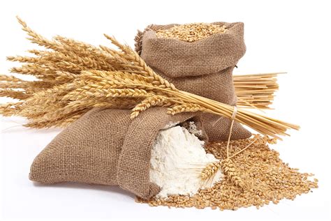 Wheat Gluten Grains Good Bad Or Misunderstood Whitney E Rd